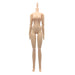 Obitsu Doll 27cm Obitsu Body Female SBH Natural Action Figure Body 27BD-F05N NEW_2