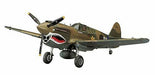 Hasegawa 1/48 Scale U.S. Army Air Force Fighter P-40E WARHAWK Plastic Model Kit_1