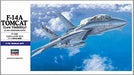 Hasegawa F-14A Tomcat (Low Visibility) (Plastic model) NEW from Japan_2