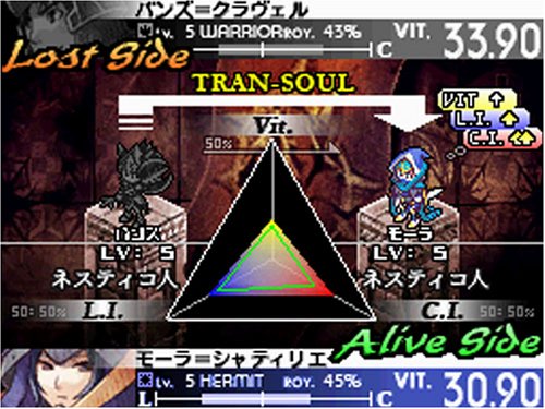 Knights in the Nightmare Limited Edition Nintendo DS Game Software 13306261 NEW_7