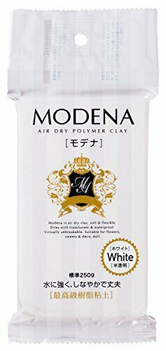 Pajiko resin clay Modena 250g white 303109 NEW from Japan_1
