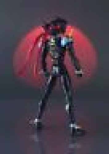 S.H.Figuarts Mobile Fighter G Gundam DOMON KASSHU Action Figure BANDAI Japan_6