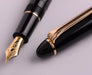 SAILOR Fountain Pen 1911 (PROFIT 21) 11-2021-220 Fine Black with Converter NEW_3