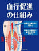 Dr.Scholl Medi Qtto Daywear Stockings Long M Size MediQtto home NEW from Japan_3