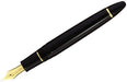 SAILOR 11-2021-320 Fountain Pen 1911 PROFIT21 Medium Fine with Converter JAPAN_2