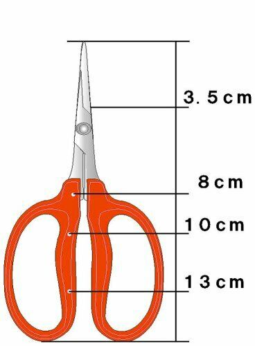 Chikamasa Stainless Grapes Care Scissors L Type B-500SL Line NEW from Japan_2