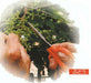 Chikamasa Stainless Grapes Care Scissors L Type B-500SL Line NEW from Japan_3