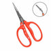 Chikamasa Stainless Grapes Care Scissors L Type B-500SL Line NEW from Japan_8