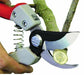 Gardening Tools CHIKAMASA PRUNING SHEARS PSB-8G Gardening Agriculture PSB8G+CS_2