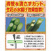 CHIKAMASA MF-8000R Flower Shears with Cap Sap-Resisting Blade NEW from Japan_3