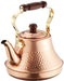 Copper Kettle 2.5L TAKEKOSHI TY-8325 Made in Japan 8Cups NEW_1