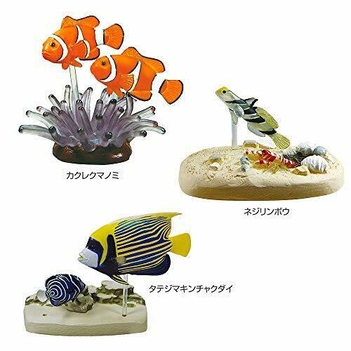 COLORATA Real Figure NATURE'S LIBRARY Coral Reef Fish BOX NEW from Japan_3