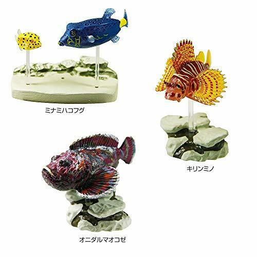 COLORATA Real Figure NATURE'S LIBRARY Coral Reef Fish BOX NEW from Japan_4