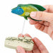 COLORATA Real Figure NATURE'S LIBRARY Coral Reef Fish BOX NEW from Japan_7