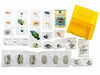 COLORATA Real Figure NATURE'S LIBRARY Coral Reef Fish BOX NEW from Japan_8