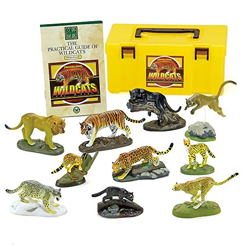 Colorata 3D Real Figure Box Endangered Animals Wild Cats Action Figure NEW_1