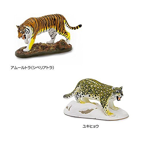 Colorata 3D Real Figure Box Endangered Animals Wild Cats Action Figure NEW_4