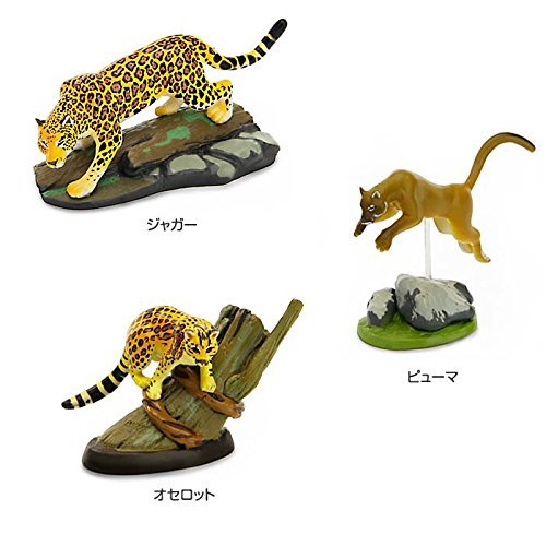 Colorata 3D Real Figure Box Endangered Animals Wild Cats Action Figure NEW_5