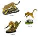 Colorata 3D Real Figure Box Endangered Animals Wild Cats Action Figure NEW_5