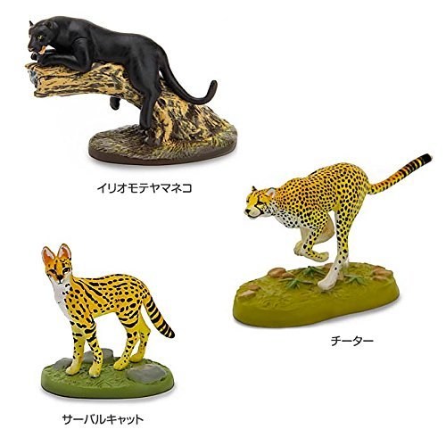 Colorata 3D Real Figure Box Endangered Animals Wild Cats Action Figure NEW_6