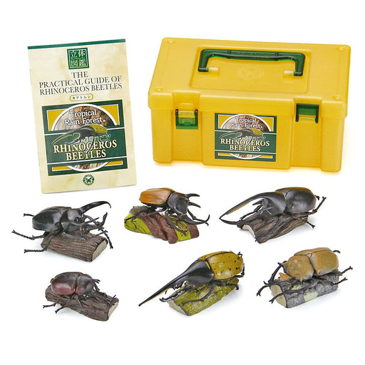 COLORATA Real Figure Box Reinoceros Beetle 6pcs with Commentary Book ‎970805 NEW_1