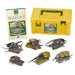 COLORATA Real Figure Box Reinoceros Beetle 6pcs with Commentary Book ‎970805 NEW_1