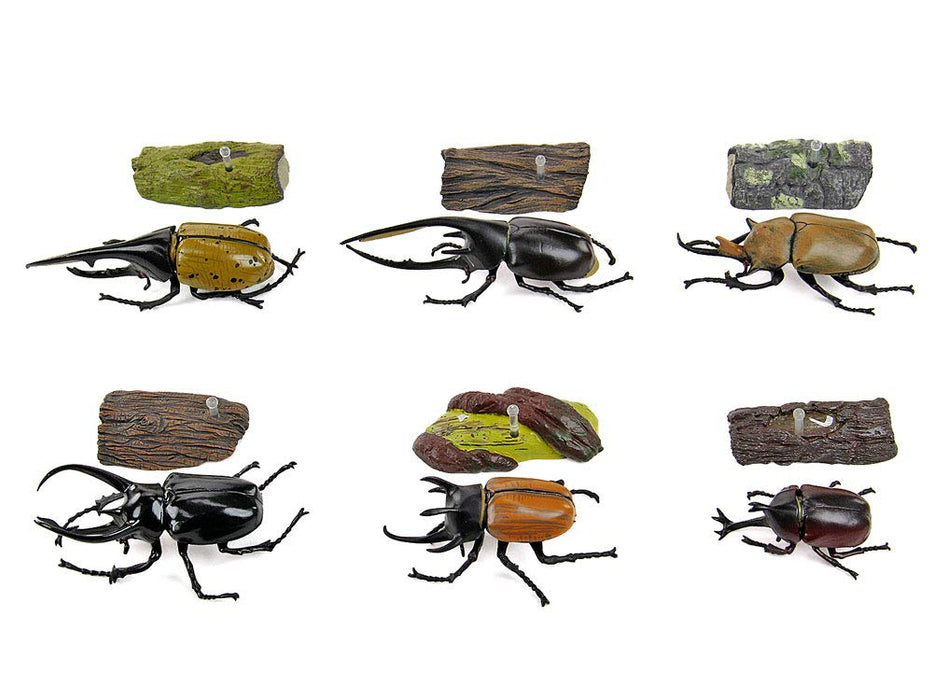 COLORATA Real Figure Box Reinoceros Beetle 6pcs with Commentary Book ‎970805 NEW_3