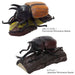 COLORATA Real Figure Box Reinoceros Beetle 6pcs with Commentary Book ‎970805 NEW_6