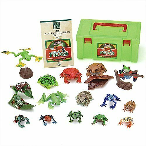 Colorata Real Figure Box The Plactical Guide of Frogs NEW from Japan_1