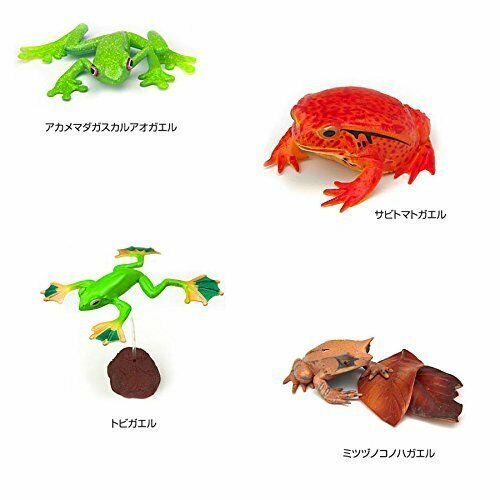 Colorata Real Figure Box The Plactical Guide of Frogs NEW from Japan_4