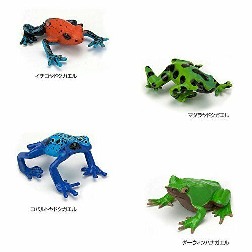 Colorata Real Figure Box The Plactical Guide of Frogs NEW from Japan_5