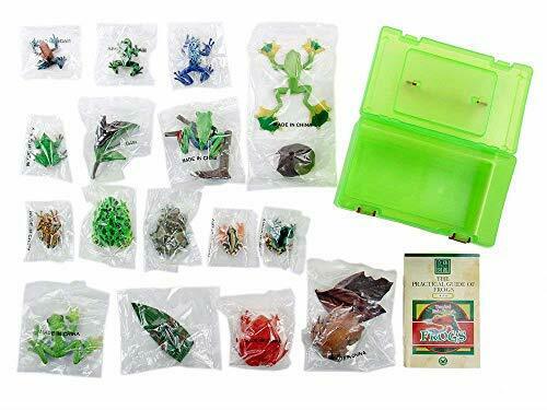 Colorata Real Figure Box The Plactical Guide of Frogs NEW from Japan_9