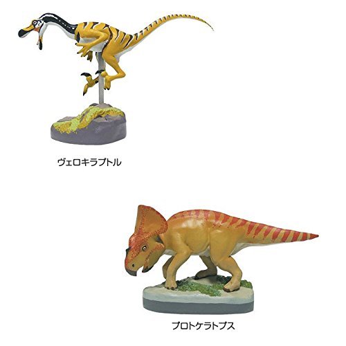 ha0645 COLORATA Real Figure box Dinosaur vol.1 (Cretaceous dinosaur ) NEW_3