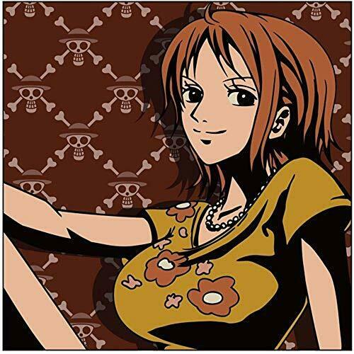 One-Piece Nami Cushions Covers NEW from Japan_1