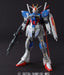 BANDAI MG 1/100 FORCE IMPULSE GUNDAM with Extend Clear Parts Model Kit Japan_2