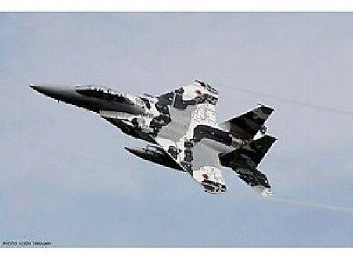 Hasegawa 1/48 F-15DJ Eagle Aggressor 2009 Model Kit NEW from Japan_1