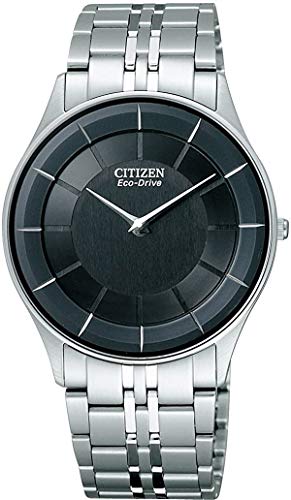 Chizen Collection AR3010-65E Eco Drive Men's Watch NEW from Japan_1