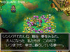 Dragon Quest IV: Michibikareshi Monotachi (Ultimate Hits) DS TVG-NDS-2391 NEW_2