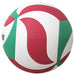Approved Flstatic Volleyball Molten Size5 V5M5000 FIVB Offical Sport USA NEW_5