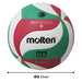 Approved Flstatic Volleyball Molten Size5 V5M5000 FIVB Offical Sport USA NEW_9
