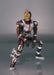 S.H.Figuarts Masked Kamen Rider 555 FAIZ Action Figure BANDAI TAMASHII NATIONS_2