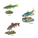 Carolata Japan Freshwater Fish Figure (3D Picture Book) Fish Real Figure Box NEW_6
