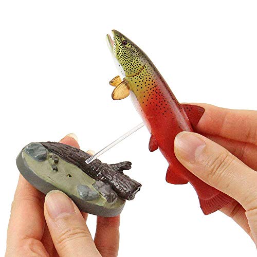 Carolata Japan Freshwater Fish Figure (3D Picture Book) Fish Real Figure Box NEW_7