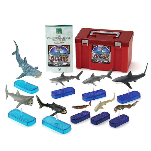 COLORATA Real Figure Sharks of the World DX BOX Set of 9 figures ‎974629 NEW_1