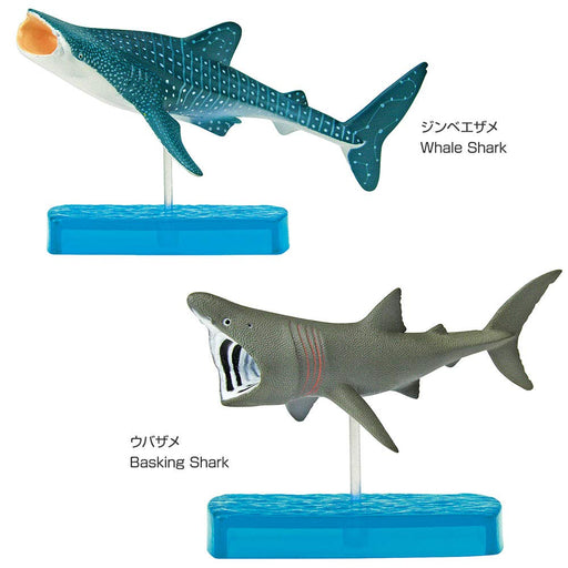 COLORATA Real Figure Sharks of the World DX BOX Set of 9 figures ‎974629 NEW_2