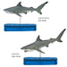 COLORATA Real Figure Sharks of the World DX BOX Set of 9 figures ‎974629 NEW_4