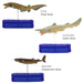 COLORATA Real Figure Sharks of the World DX BOX Set of 9 figures ‎974629 NEW_5