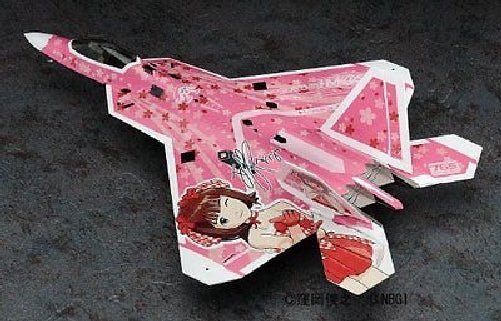 Hasegawa 1/72 F-22 Raptor The Idolmaster Haruka Amami Model Kit NEW from Japan_2
