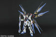 BANDAI PG 1/60 Strike Freedom Gundam Plastic Model Kit NEW from Japan_2