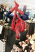Movie Masterpiece Spider-Man 3 SPIDER-MAN 1/6 Action Figure Hot Toys NEW Japan_2